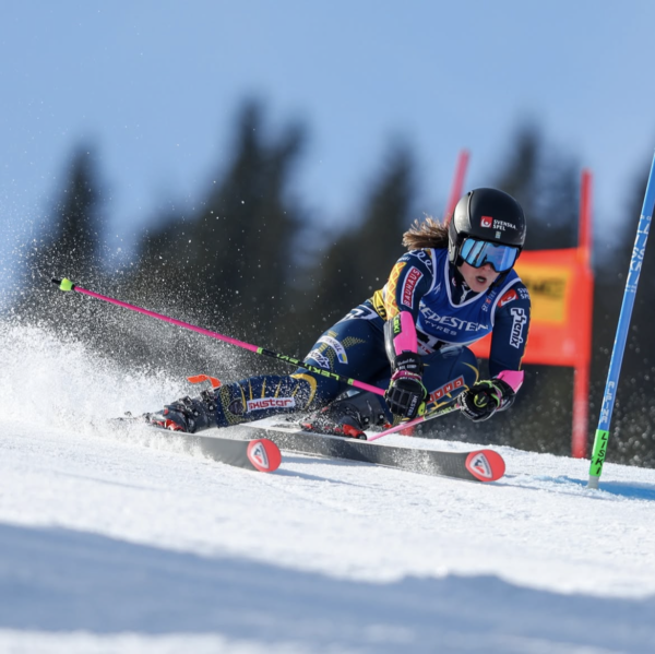 102 Nafkopf Blue - Image 3