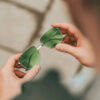 Epic Green - Image 6