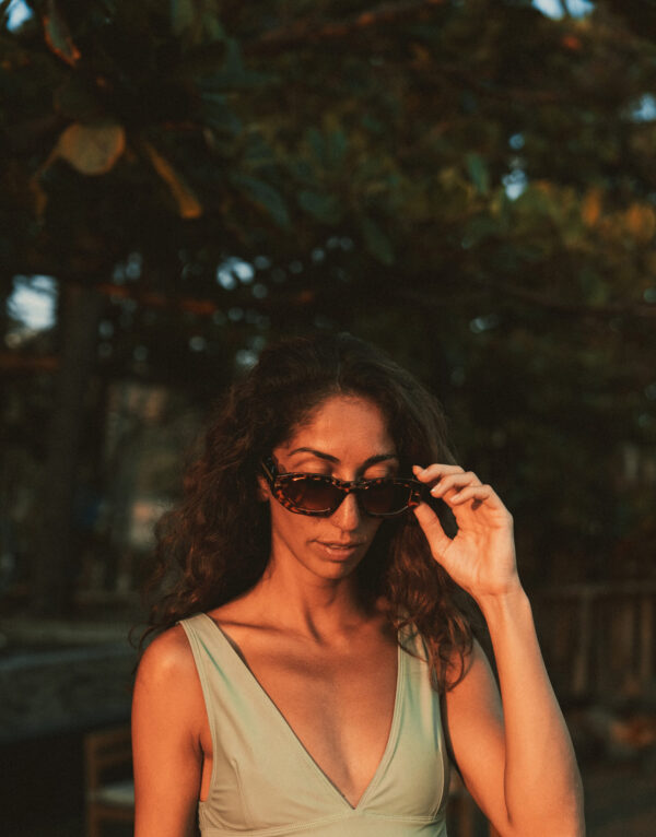 Rosy Brown - Image 3