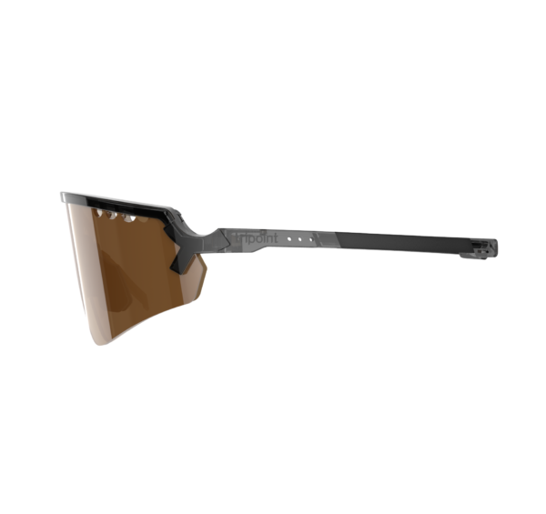 007 Chobe Transparent Black Polarized - Image 3