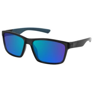 065 FG Polarized