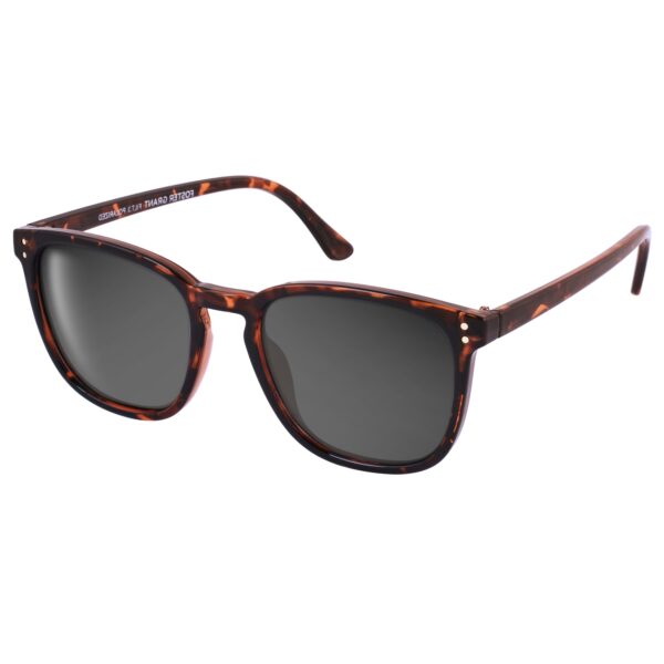 055 FG Polarized
