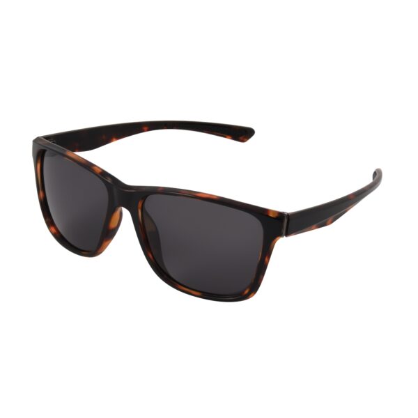 069 FG Polarized