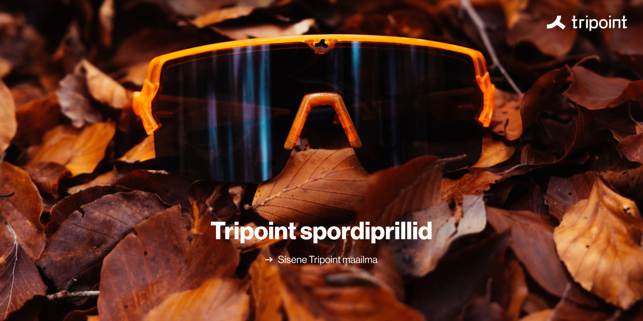 Sügis. Tripoint (Desktop)